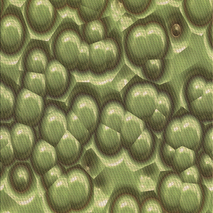 Patterned Green Rug, pat3135brn