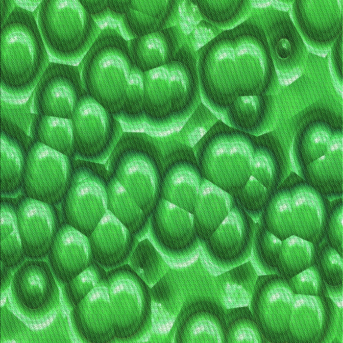 Patterned Green Rug, pat3135grn