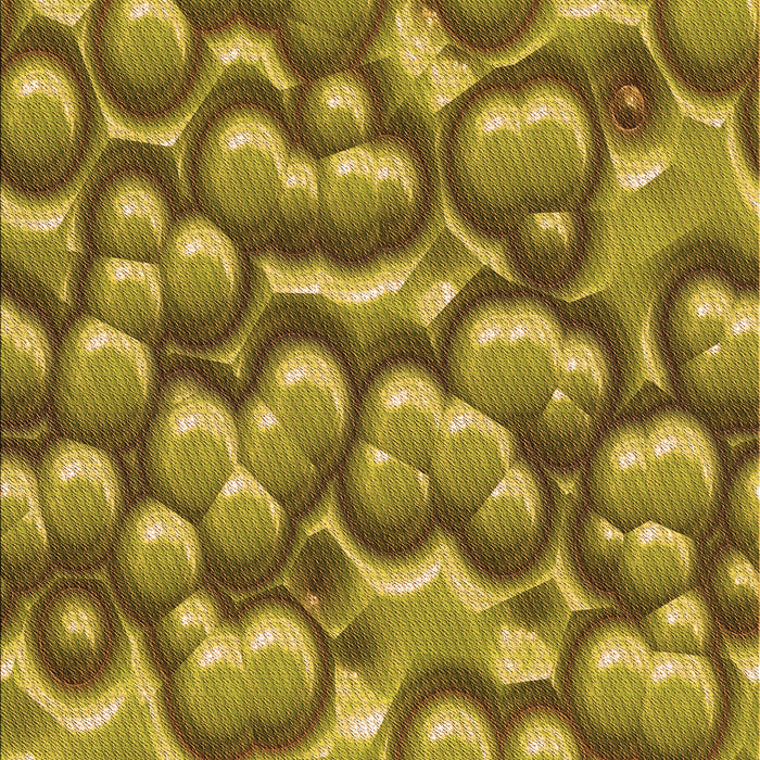 Machine Washable Transitional Yellow Rug, wshpat3135org