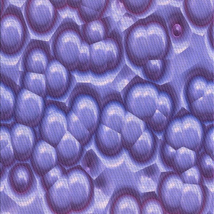 Machine Washable Transitional Amethyst Purple Rug, wshpat3135pur