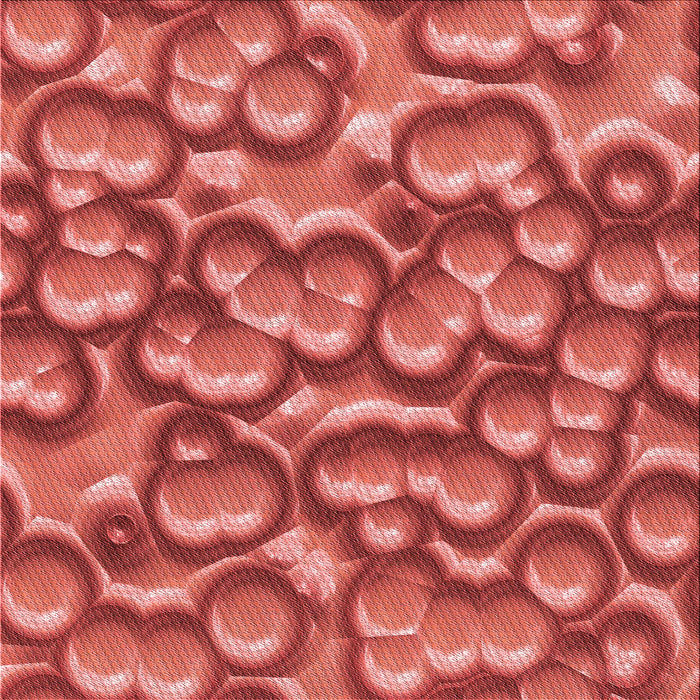 Round Machine Washable Transitional Red Rug, wshpat3135rd