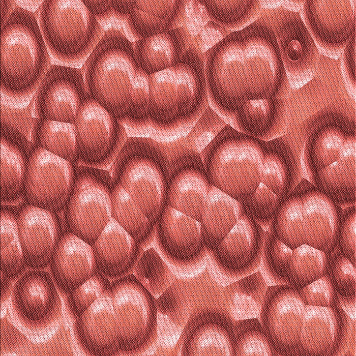 Machine Washable Transitional Red Rug, wshpat3135rd