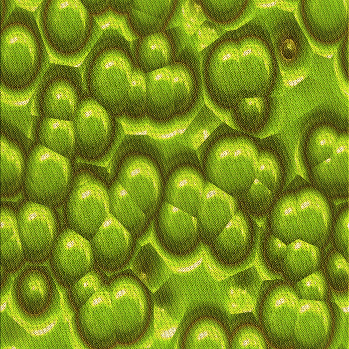 Machine Washable Transitional Green Rug, wshpat3135yw