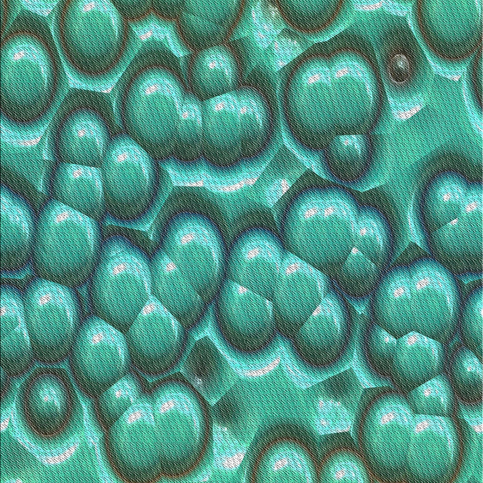 Machine Washable Transitional Turquoise Green Rug, wshpat3135