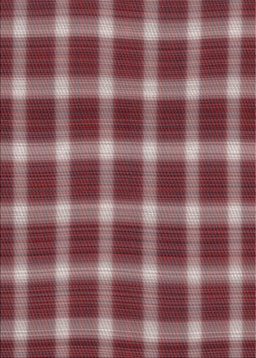 Machine Washable Transitional Saffron Red Rug, wshpat3140