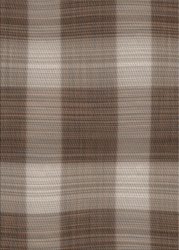 Machine Washable Transitional Light French Beige Brown Rug, wshpat3141