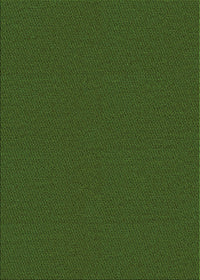 Machine Washable Transitional Dark Forest Green Rug, wshpat3144grn