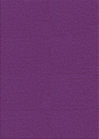 Machine Washable Transitional Dark Orchid Purple Rug, wshpat3144pur