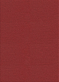 Machine Washable Transitional Red Rug, wshpat3144rd