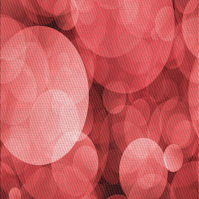 Machine Washable Transitional Red Rug, wshpat3146rd