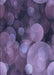 Machine Washable Transitional Medium Purple Rug, wshpat3147blu