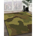 Machine Washable Transitional Dark Yellow Green Rug in a Family Room, wshpat3148brn