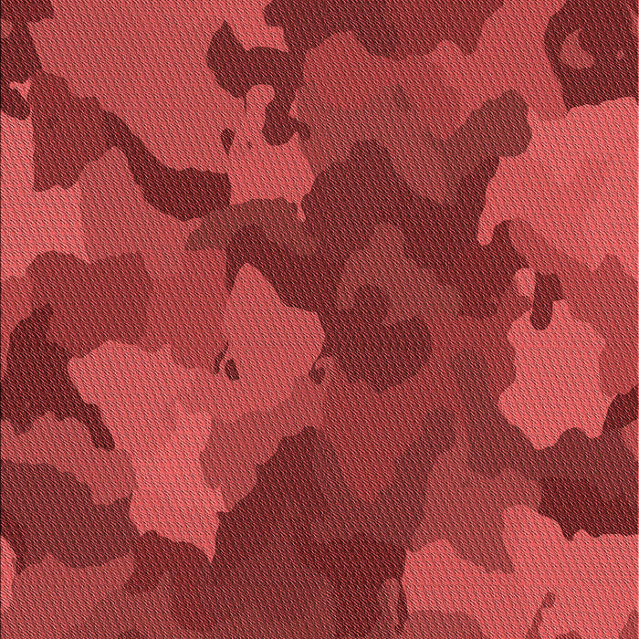 Machine Washable Transitional Red Rug, wshpat3149rd