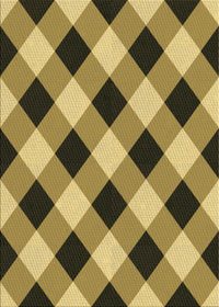 Machine Washable Transitional Yellow Rug, wshpat3150brn