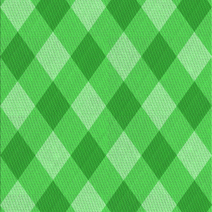 Machine Washable Transitional Lime Green Rug, wshpat3151grn