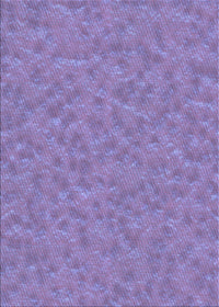 Machine Washable Transitional Purple Mimosa Purple Rug, wshpat3154blu