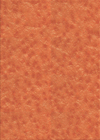 Machine Washable Transitional Neon Orange Rug, wshpat3154org