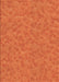 Machine Washable Transitional Neon Orange Rug, wshpat3154org