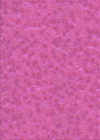 Machine Washable Transitional Deep Pink Rug, wshpat3154pur