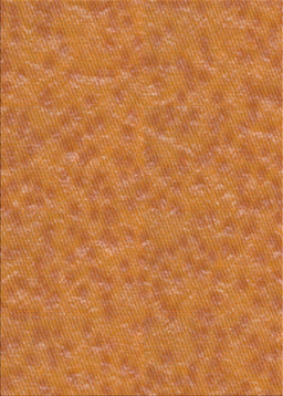 Patterned Orange Novelty Rug, pat3154