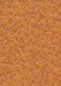 Machine Washable Transitional Orange Rug, wshpat3154