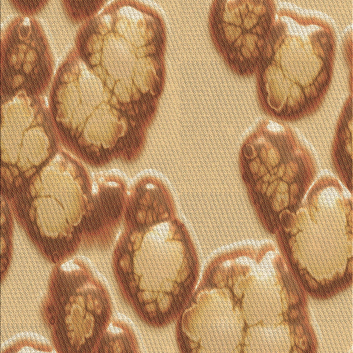 Patterned Orange Rug, pat3155brn