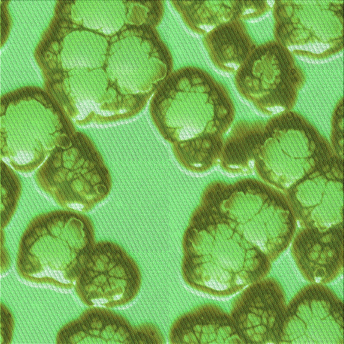 Round Machine Washable Transitional Emerald Green Rug, wshpat3155grn