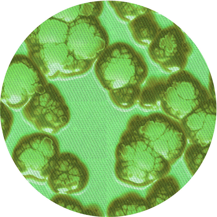 Square Patterned Emerald Green Rug, pat3155grn