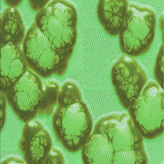 Patterned Emerald Green Rug, pat3155grn