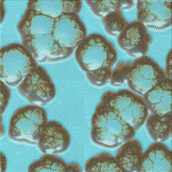 Round Machine Washable Transitional Hazel Green Rug, wshpat3155lblu