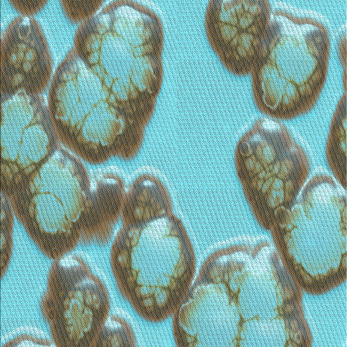 Patterned Hazel Green Rug, pat3155lblu