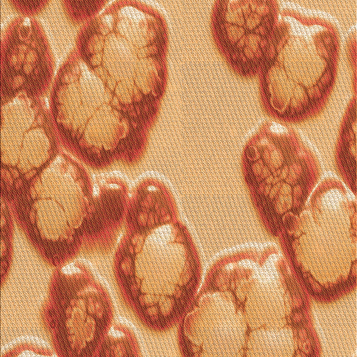 Machine Washable Transitional Orange Rug, wshpat3155org