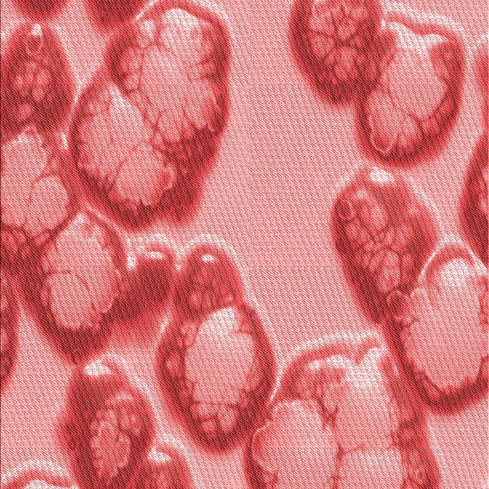 Patterned Light Coral Pink Rug, pat3155rd