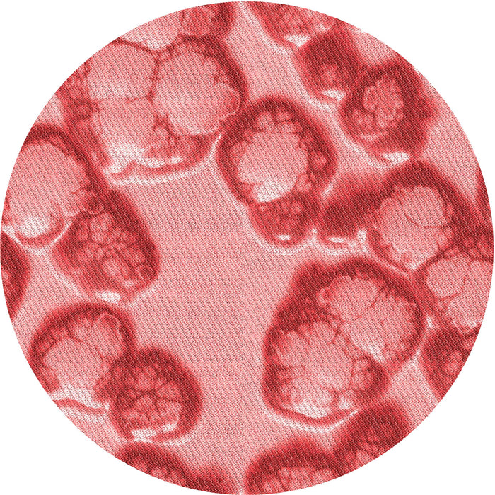 Square Patterned Light Coral Pink Rug, pat3155rd