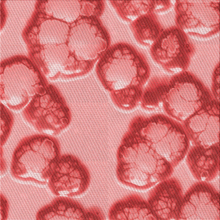 Round Machine Washable Transitional Light Coral Pink Rug, wshpat3155rd