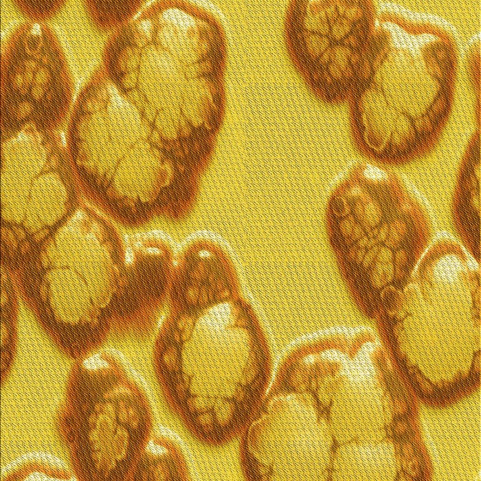 Machine Washable Transitional Deep Yellow Rug, wshpat3155yw