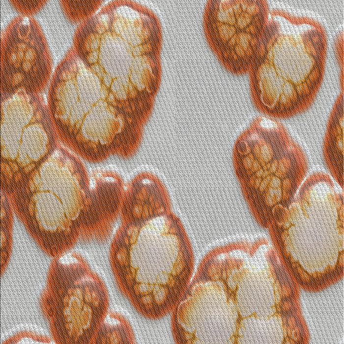 Machine Washable Transitional Red Rug, wshpat3155