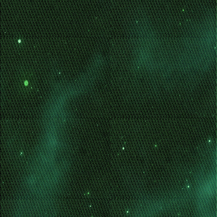 Machine Washable Transitional Deep Emerald Green Rug, wshpat3160grn