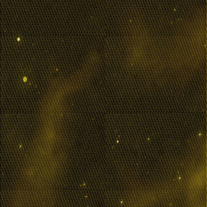 Patterned Black Rug, pat3160yw