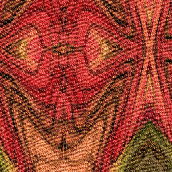 Machine Washable Transitional Mahogany Brown Rug, wshpat3162org