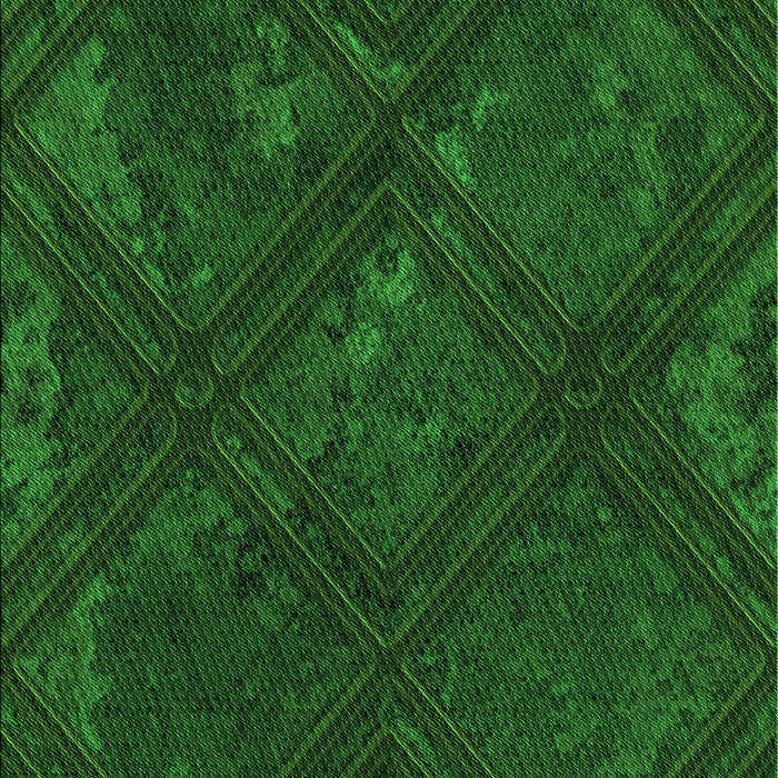 Patterned Green Rug, pat3166grn