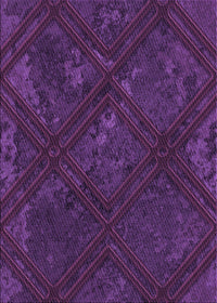 Machine Washable Transitional Dark Orchid Purple Rug, wshpat3166pur