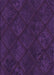 Machine Washable Transitional Dark Purple Rug, wshpat3167pur