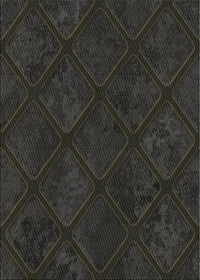 Machine Washable Transitional Black Rug, wshpat3167