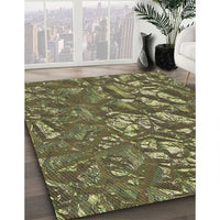 Patterned Copper Green Modern Rug, pat3170