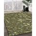 Machine Washable Transitional Brass Green Rug in a Family Room, wshpat3170