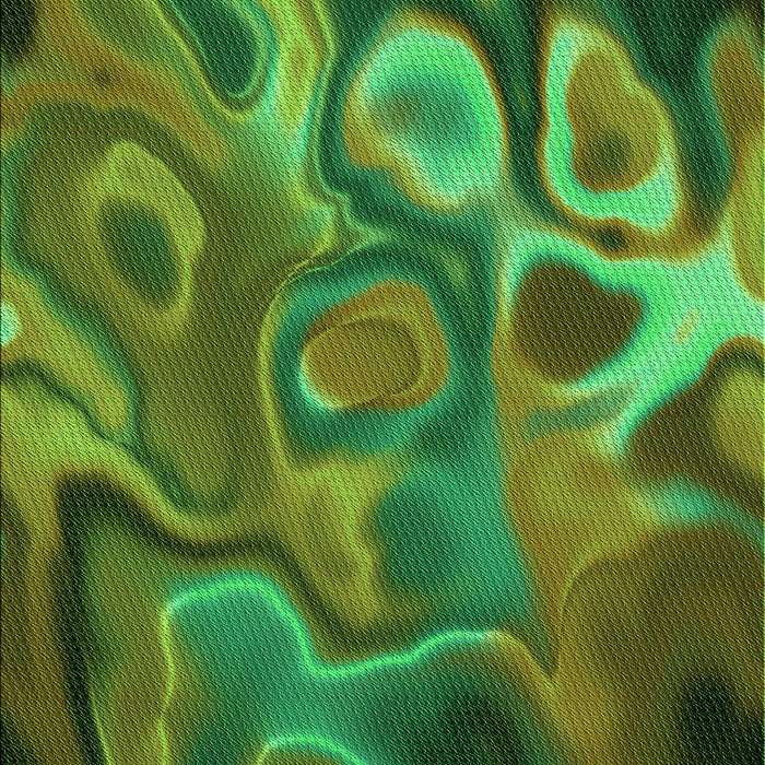 Machine Washable Transitional Dark Forest Green Rug, wshpat3172grn