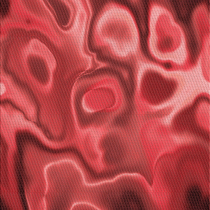 Machine Washable Transitional Red Rug, wshpat3172rd