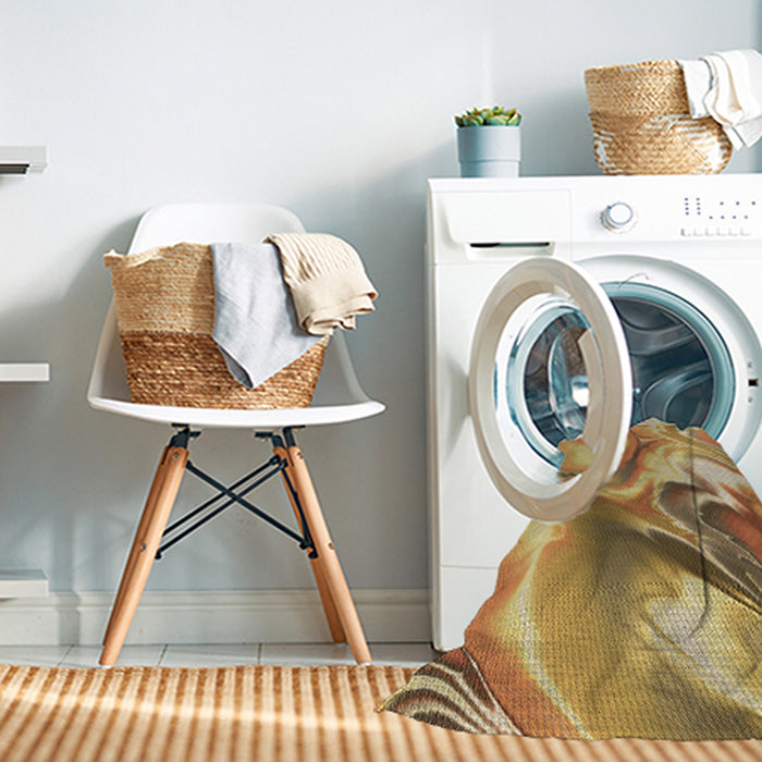 Machine Washable Transitional Orange Rug in a Washing Machine, wshpat3173brn