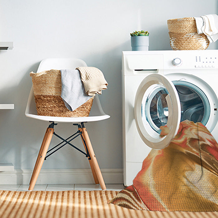 Machine Washable Transitional Orange Rug in a Washing Machine, wshpat3173org